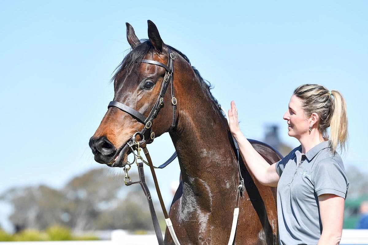 Picture of the author