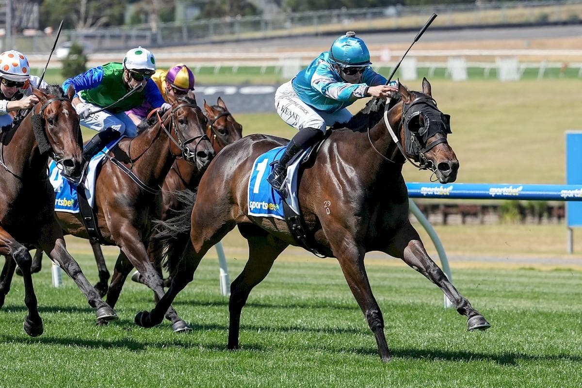 Picture of the author